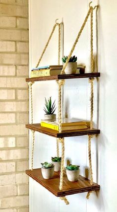 three shelves with plants and books on them