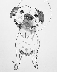 a drawing of a dog wearing a hat