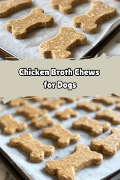 Make Chicken Broth Chews for Dogs with this simple homemade recipe. Packed with nutrients, these treats are perfect for spoiling your furry friend while ensuring they get a healthy, tasty snack. Great for joint health and digestive support. Click to learn how to make these savory chews at home! Dog Treats For Picky Dogs, Bone Broth Treats For Dogs, Easy Homemade Puppy Treats, Diy Beef Dog Treats, Snacks For Dogs Homemade, Beef Broth Dog Treats, Yak Chews For Dogs, Homemade Food For Puppies, Homemade Dog Treats For Joints