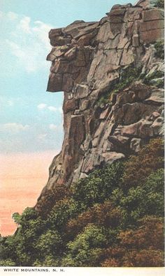 an old postcard shows the top of a mountain with trees and rocks on it