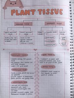 a hand drawn diagram on top of a piece of paper with words written in it