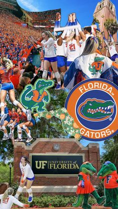 the florida gators collage is featured in this image