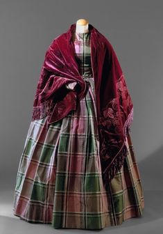 1800s Dresses, 19th Century Dresses, Dress And Shawl, Hoop Dress, Dress Shawl, Velvet Shawl, Dress History