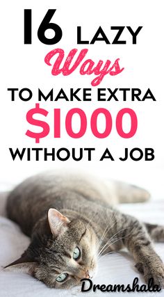 a cat laying on top of a bed with the words 16 lazy ways to make extra $