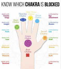 Chakras And Meanings, Unblocking Chakras For Beginners, Unblock Chakras, How To Unblock Chakras, Chakra For Beginners, Healing Chakras, Chakra Chart, Chakra Healing Meditation, Chakra Health