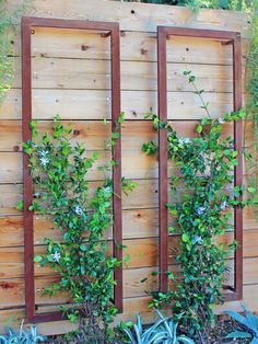 some plants are growing on the side of a wooden fence in front of another planter