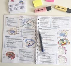 an open book with markers and sticky notes on the page next to it are brain images