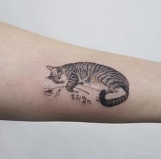 Tabby Cat Tattoo Designs, Cat Tattoo Tabby, Daisy Cat Tattoo, Cat Stretching Tattoo, Tabby Cat Tattoo, Into Tattoo, Animal Tattoo Designs, Bestie Tattoo, Cat Tat