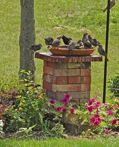 an instagramted photo of birds sitting on top of a brick fire hydrant