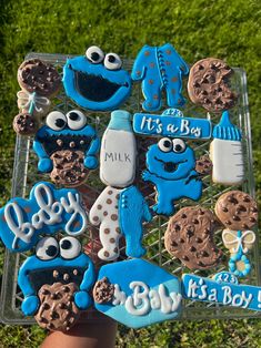 Inspire Cookie Monster Babyshower Sugar Cookies - Etsy Baby Cookie Monster, Monster Baby Showers, Baby Birthday Party Theme, Monster 1st Birthdays, Baby Shower Deco, Baby Boy First Birthday, Boy Baby Shower Themes, Baby Boy Birthday, Baby Themes