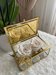 two roses in a glass box sitting on a white rug