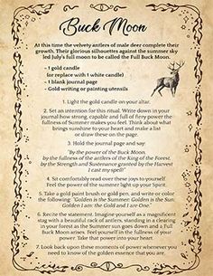 Full Buck Moon Ritual, Journal & Coloring Page (July) – Spells8 Shadow Witchcraft, Buck Moon Ritual, Blue Moon Rituals, Witchy Grimoire, Witch Guide, Moon Witchcraft, Full Moon Spells