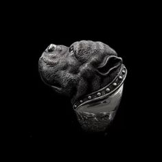 a silver ring with an animal's head in the middle on a black background