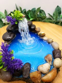 a pond made out of rocks and plants