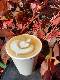 a cappuccino is sitting on a table in front of some red leaves