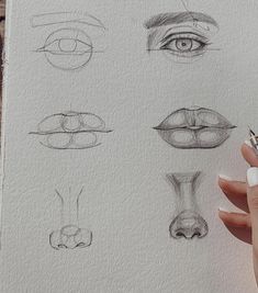 a person holding a pen and drawing different types of eyes on a piece of paper