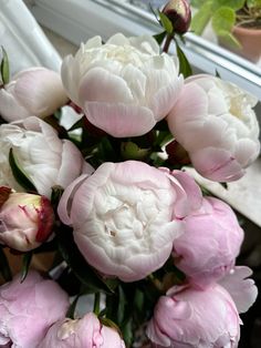 pink and white peonies in a vase on a window sill near a potted plant