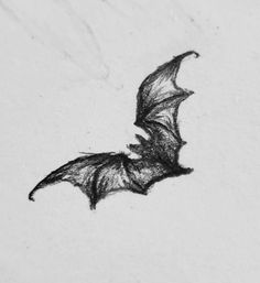 Bat Sketch, Gothic Drawings, Easy Doodles Drawings, Easy Drawings Sketches, Cute Doodles Drawings, Cute Doodle Art, Doodle Art Designs, Hand Art Drawing, Book Art Drawings