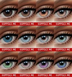 the different types of eyes are shown