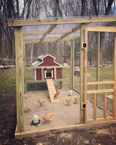 an outdoor chicken coop with chickens in it