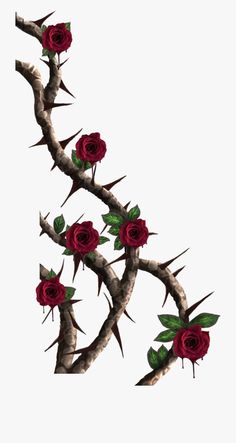 a branch with red roses on it against a white background, in the shape of a twig