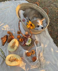 a dog laying in a basket on top of a white table cloth next to some food