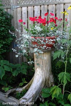 a potted plant sitting on top of a tree stump in a garden filled with flowers