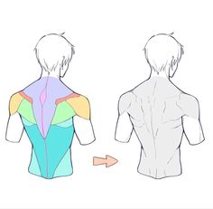 the back and side view of a man's body with different colors on it