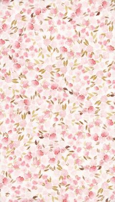 pink flowers and leaves on white background