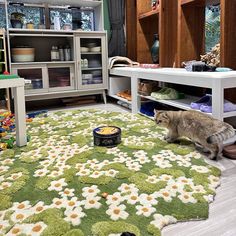 a cat is sitting on the floor in front of a dog bowl and food dish