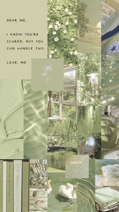 a collage of images with words and pictures on them that include flowers, trees, water, books