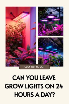 an advertisement with plants in the background and text that reads can you leave grow lights on 24 hours a day?