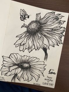 Botanical Pencil Drawings, Nature Study Drawing Sketch, Flower Drawing Color, Lazy Drawing, Artistic Person, Gcse Art Sketchbook, Cute Canvas Paintings, Illustration Art Drawing, Art Drawings Sketches Creative