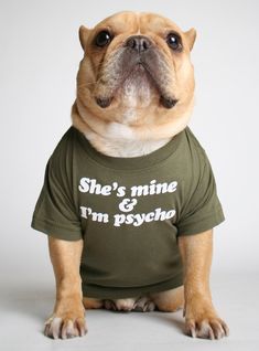 a dog wearing a shirt that says she's mine and i'm psychic