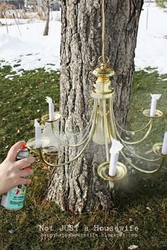 a chandelier hanging from the side of a tree