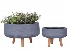 two planters with plants in them sitting next to each other on small wooden legs