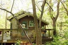 a cabin in the woods surrounded by trees