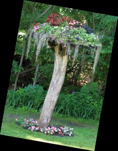 a tree with flowers growing on it in the middle of some grass and plants around it