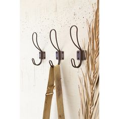 three metal hooks are hanging on the wall next to a plant and some dried grass