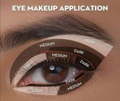 Makeup Hacks Eyeshadow Tips And Tricks, Eyeshadow Shades For Brown Eyes, Order Of Eye Makeup Application, Beach Pictures Makeup, How To Apply Eyeshadow As Eyeliner, Eyeshadow Application Charts, Makeup Application Tips, How To Apply Smokey Eyeshadow, Best Brown Eye Makeup