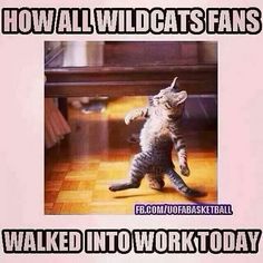 a cat standing on its hind legs in front of a piano with the caption how all wild cats fans walked into work today