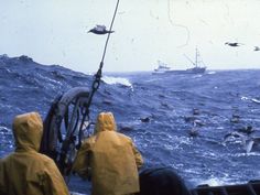 several people in yellow raincoats are fishing on the ocean with boats and birds flying overhead