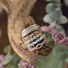 a stack of rings sitting on top of a tree branch next to purple and white flowers