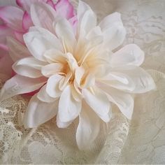 two pink and white flowers are sitting on lace