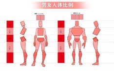 an image of the human body with different types of muscles and their names in chinese