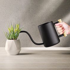 a person is holding a watering can over a potted plant with a long handle