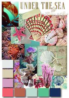 an image of under the sea collage with different colors and textures, including shells