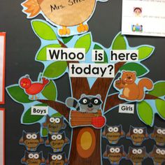 a bulletin board with an owl and other animals on it that says who is here today?