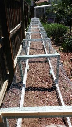 several chicken cages are lined up in the yard