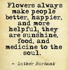 a quote on flowers that reads flowers always make people better, happier and more helpful they are sunshine, food and medicine for the soul